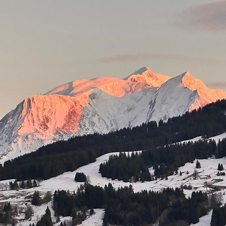Chalet A Megeve-Vauvray - Grands Appartements , Vue Mont Blanc Demi-Quartier Bagian luar foto