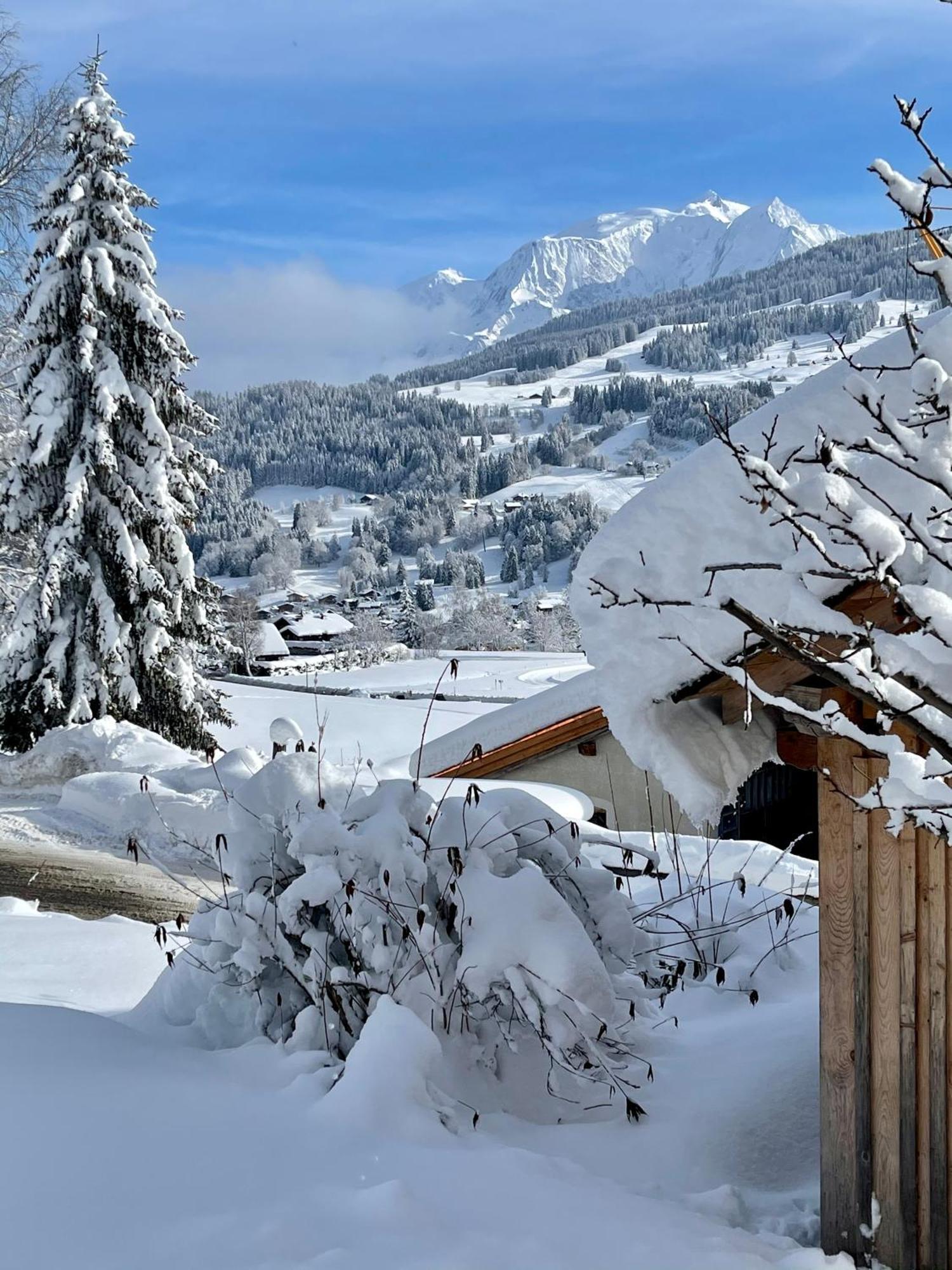 Chalet A Megeve-Vauvray - Grands Appartements , Vue Mont Blanc Demi-Quartier Bagian luar foto