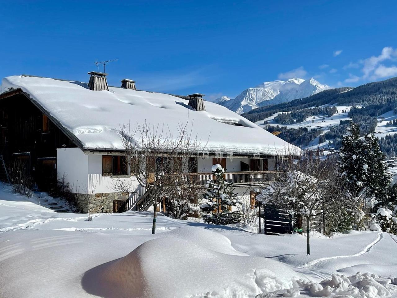 Chalet A Megeve-Vauvray - Grands Appartements , Vue Mont Blanc Demi-Quartier Bagian luar foto