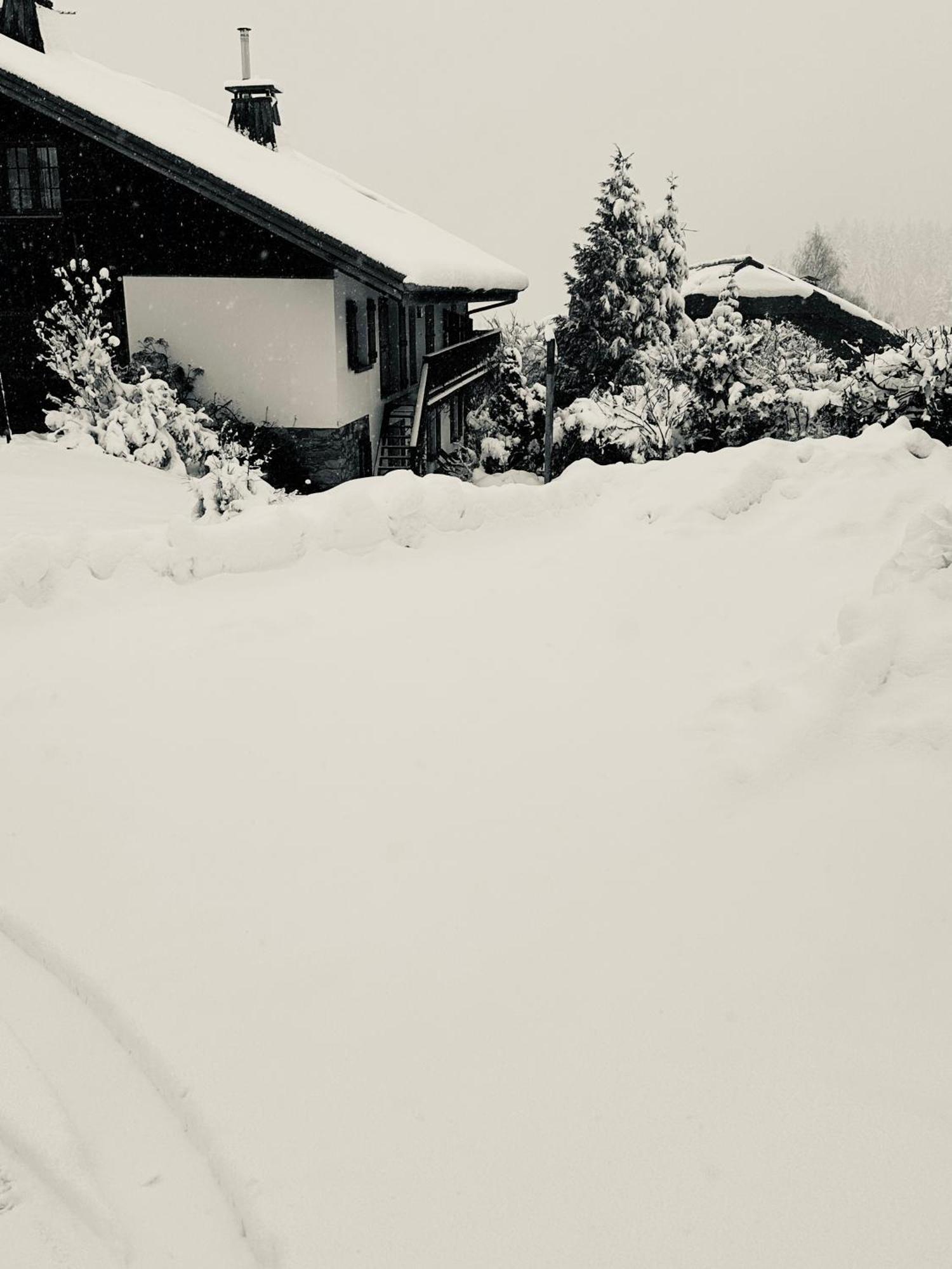 Chalet A Megeve-Vauvray - Grands Appartements , Vue Mont Blanc Demi-Quartier Bagian luar foto