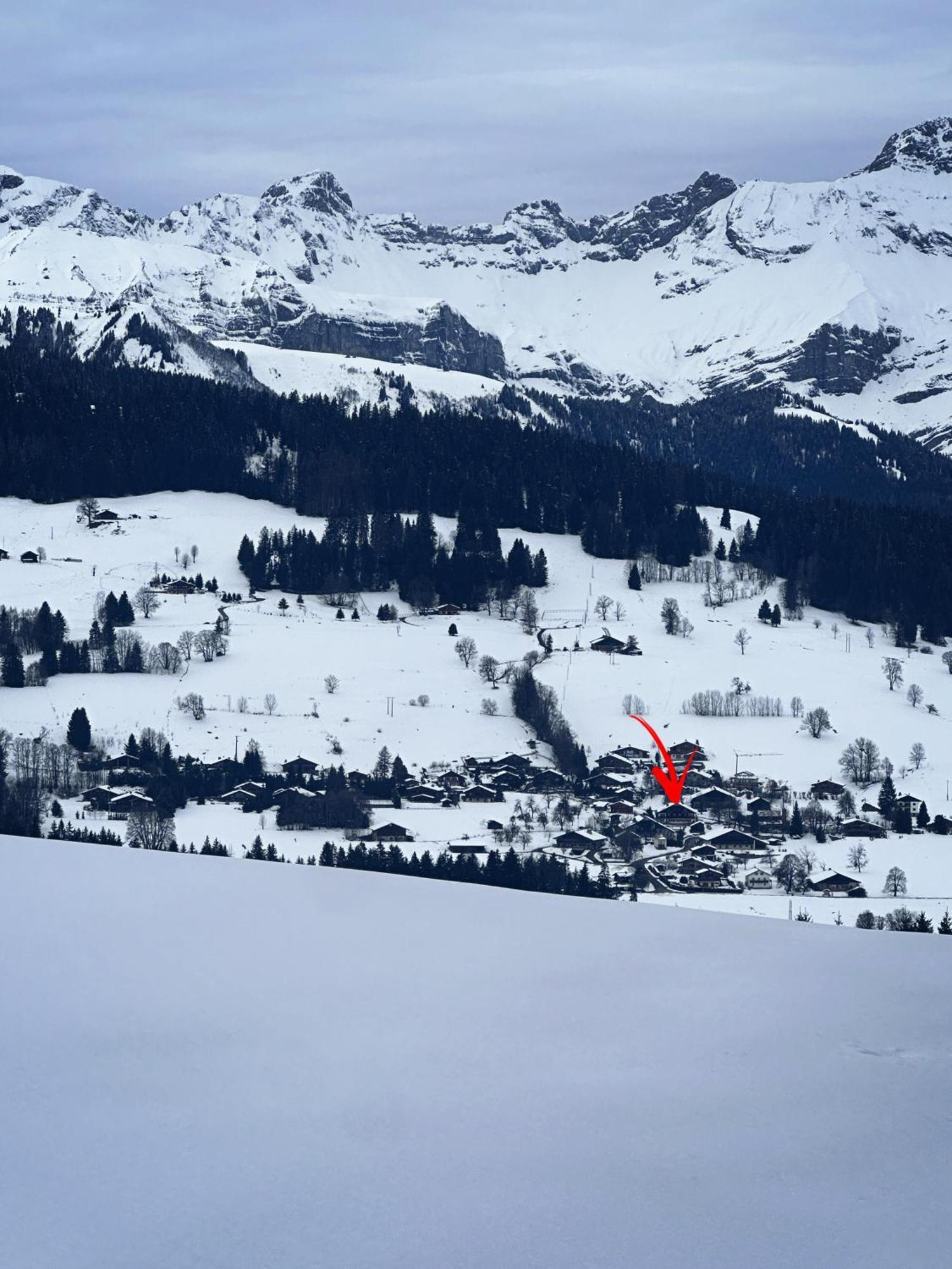 Chalet A Megeve-Vauvray - Grands Appartements , Vue Mont Blanc Demi-Quartier Bagian luar foto